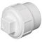 Charlotte Pipe And Foundry Charlotte Pipe Schedule 40 1-1/2 in. Spigot X 1-1/2 in. D FPT PVC Cleanout Adapter 1 pk PVC00105X0600 - alternate 1